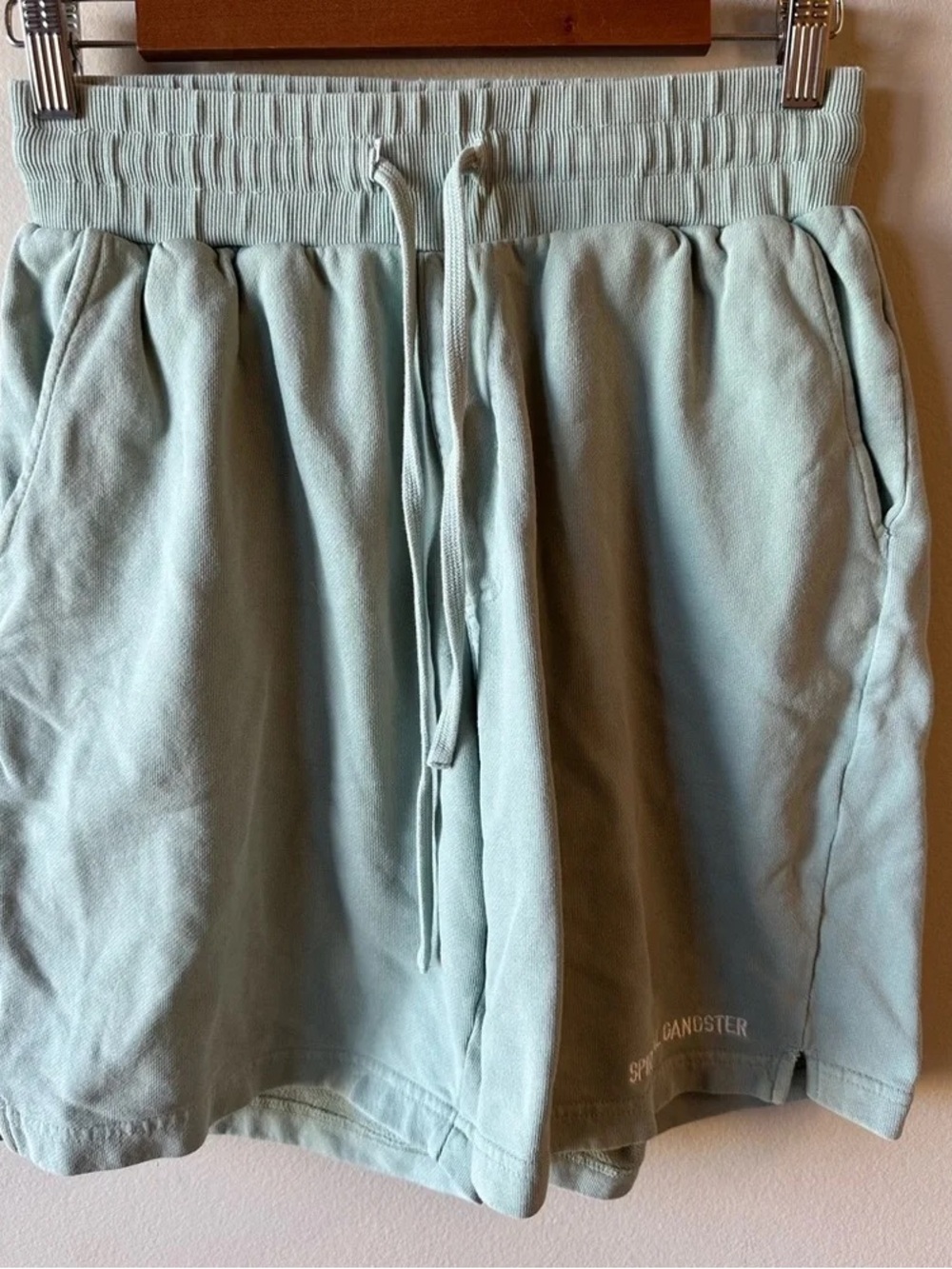 Men's Athletic Shorts in Light Mint